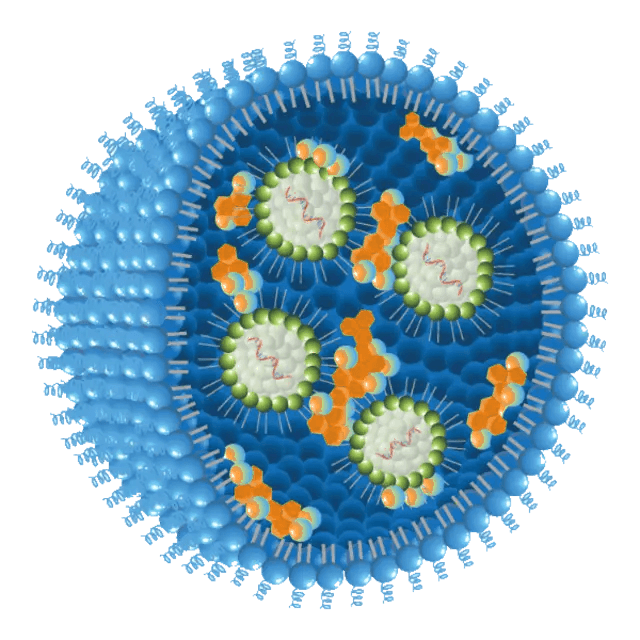 Quantoom CNP particle, with orange QCX chemistry replacing the i-lipid. Click to open the calixarene structure.
