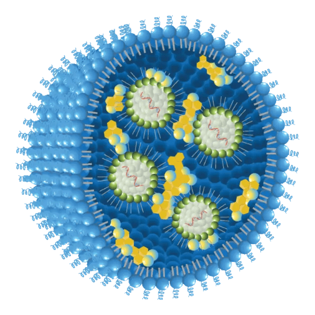Standard LNP particle, with yellow complexing lipids (i-lipid)