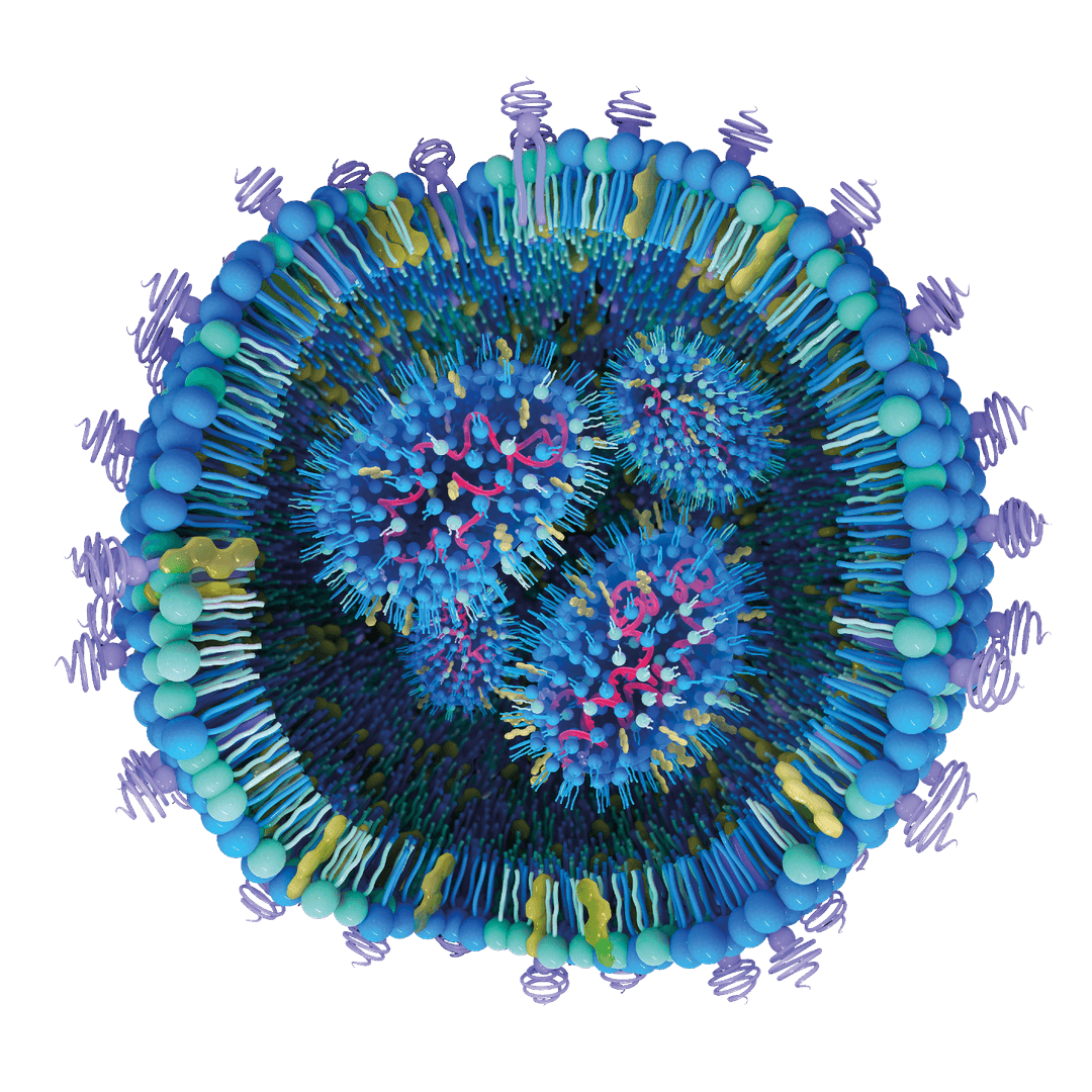 Ncapsulate® QCX calixarene nanoparticle (CNP)