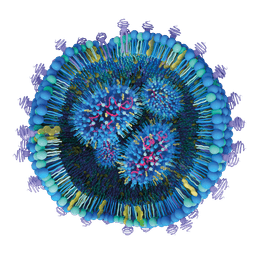 Ncapsulate® QCX