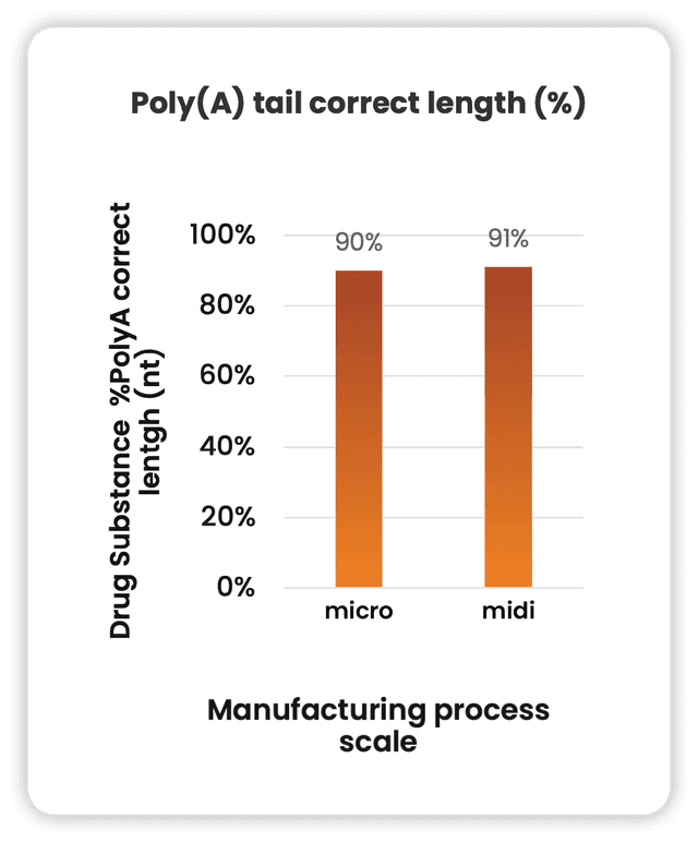 Ntensify® process performance - Poly(A) tail correct length
