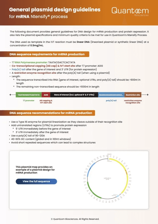 General plasmid design guidelines for mRNA