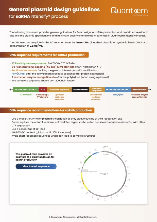 General plasmid design guidelines for saRNA