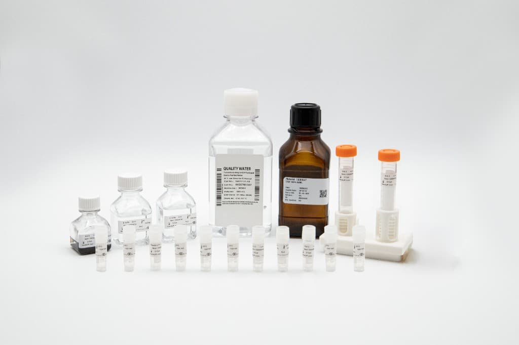 Ntensify® reagent mixes — uridine, enzymes, nucleotides