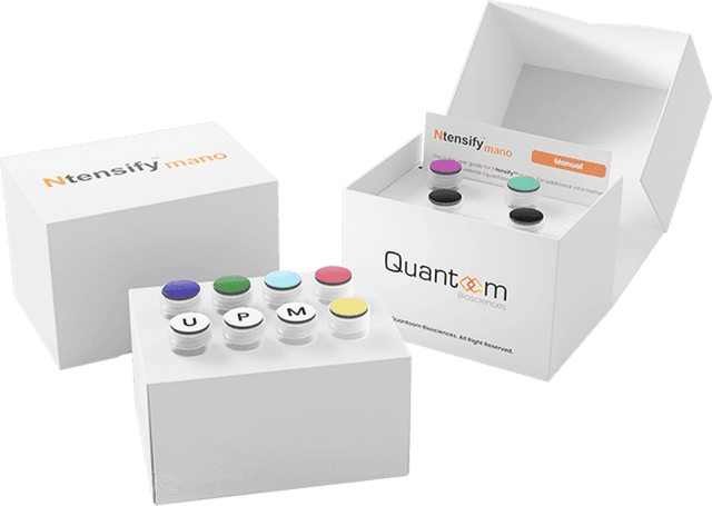 The Ntensify® mano, an all-in-one mRNA Production Kit