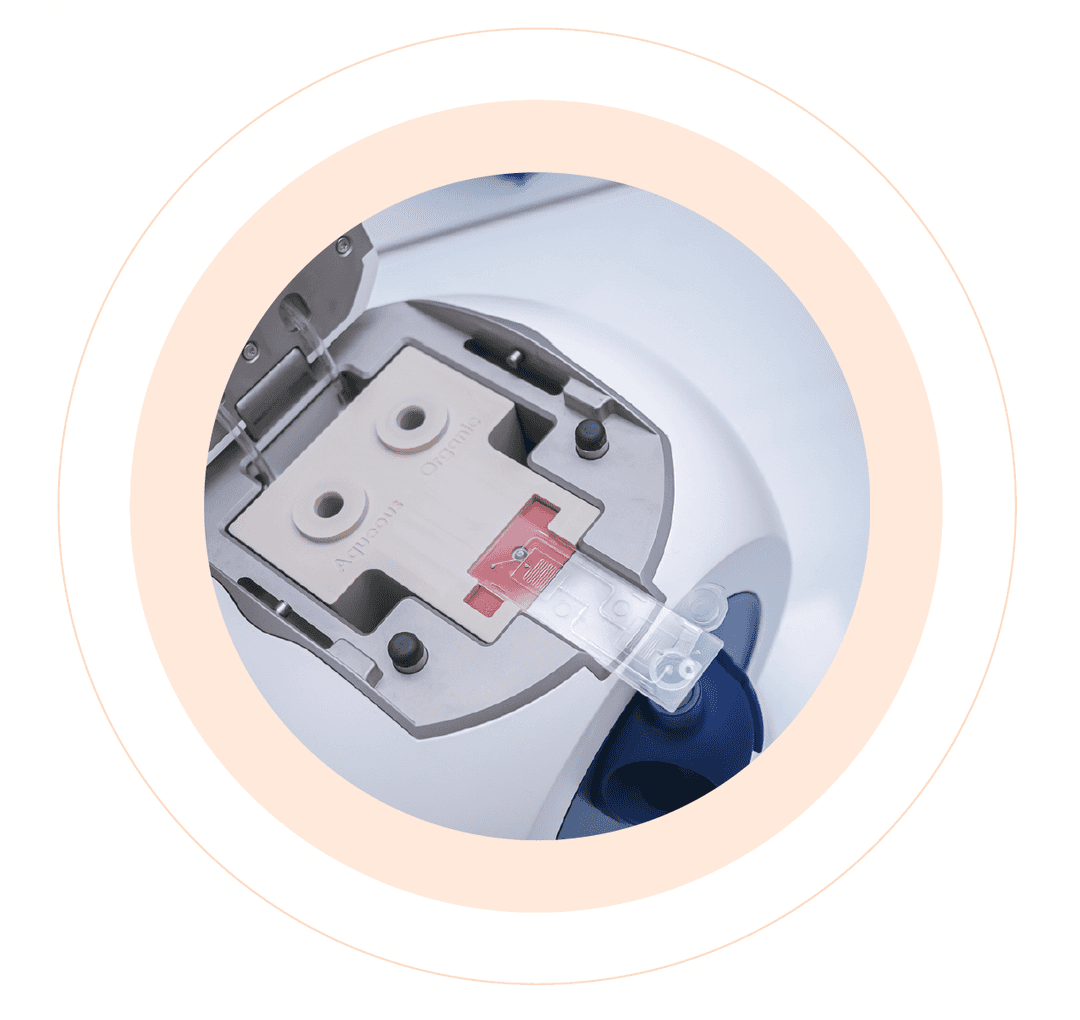 TAMARA microfluidic chip loaded in the instrument