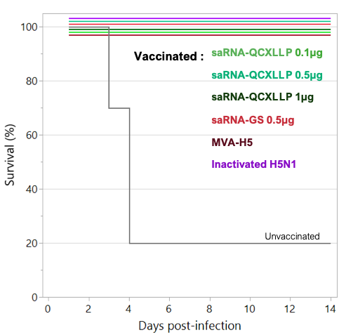 Kaplan–Meier survival: 100% in vaccinated chickens vs 20% unvaccinated at day 14