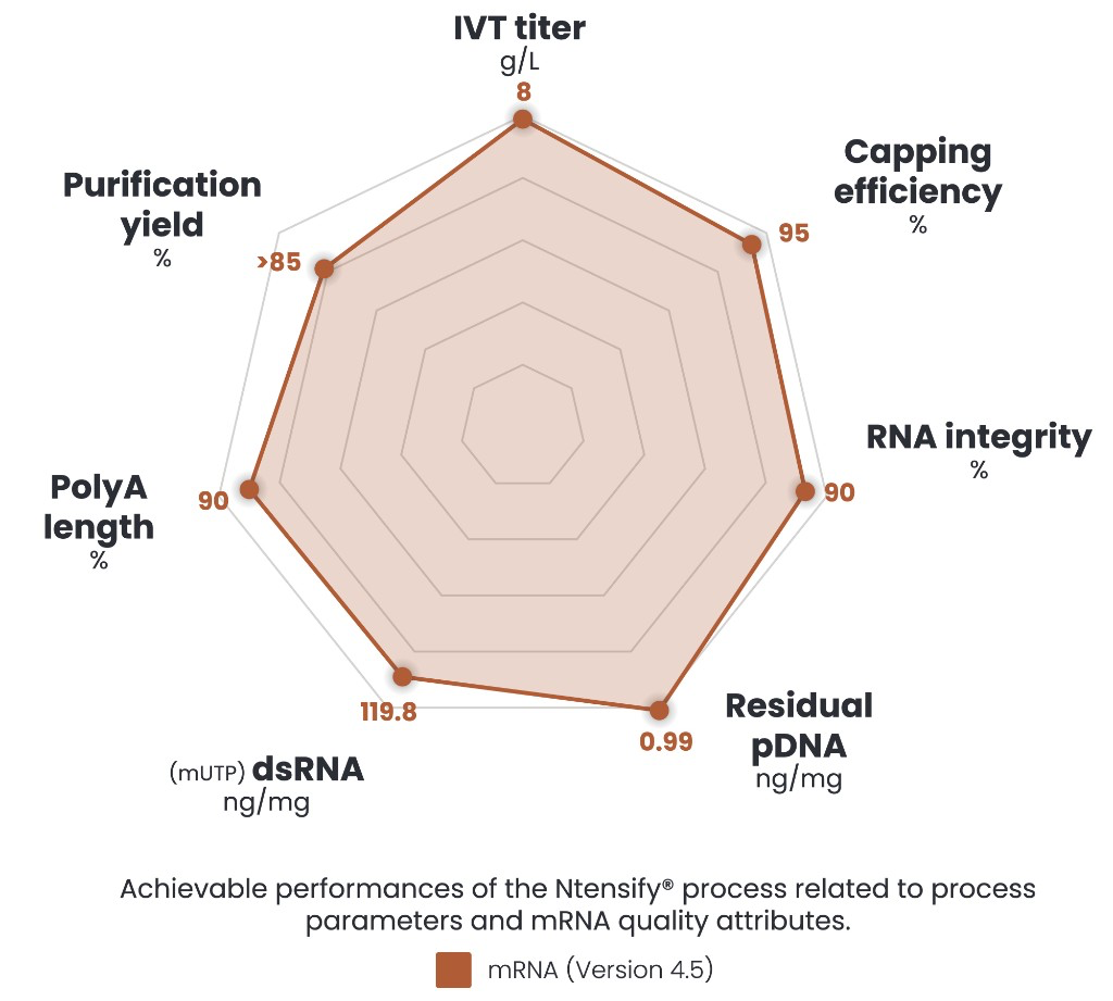 Average Ntensify® process performance — mRNA (Version 4.5)