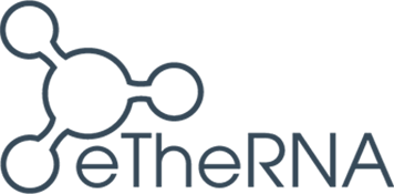 etherna-logo-custom_crop1