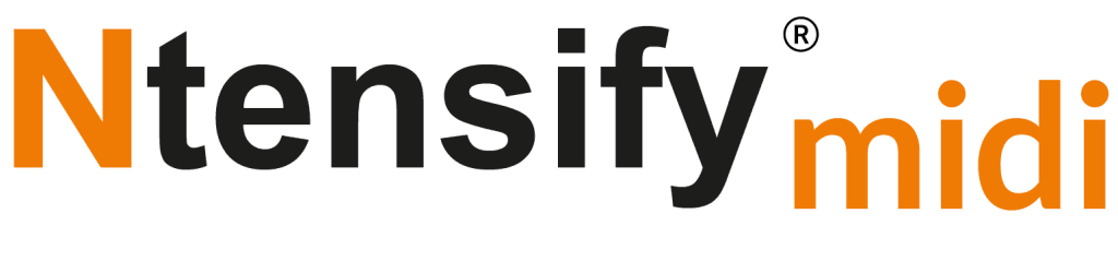 Logo Ntensify midi