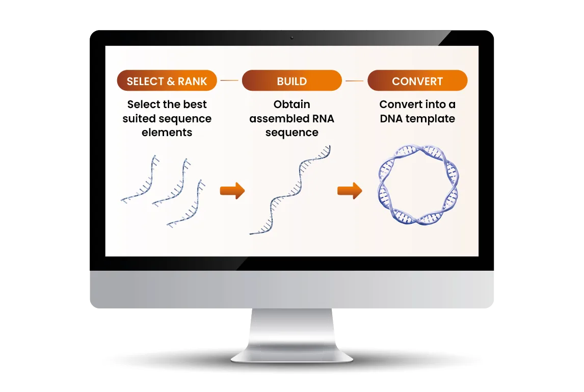 Ncode, RNA design platform