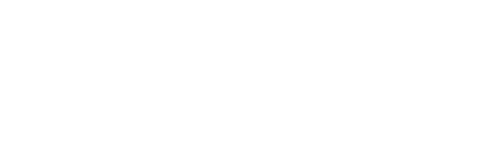 Logo Ntensify