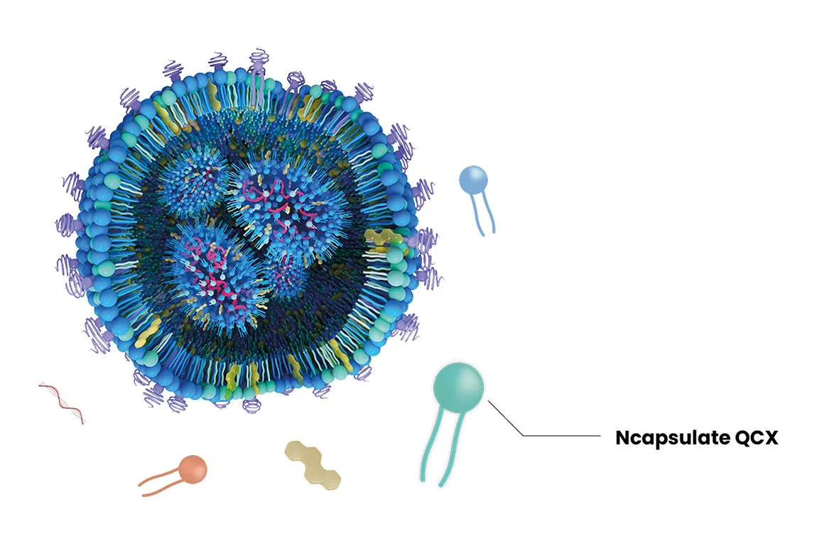 RNA Formulation Delivery - part of our full-stack mRNA partner offer