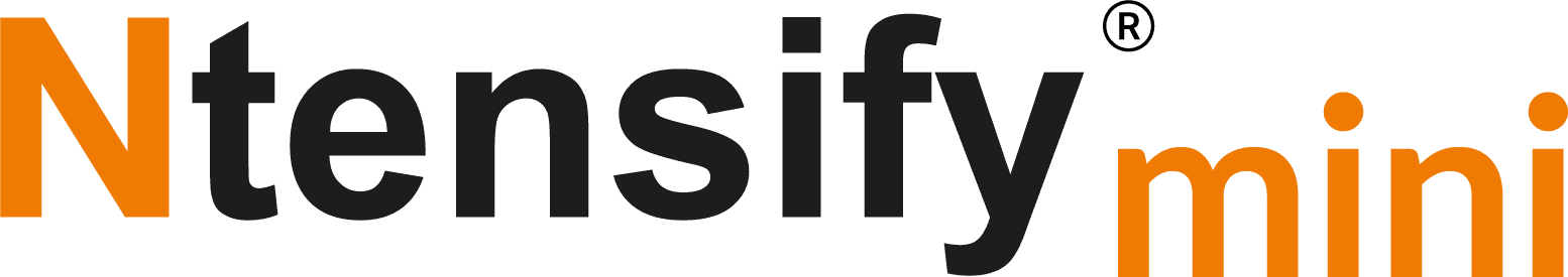 Logo Ntensify mini