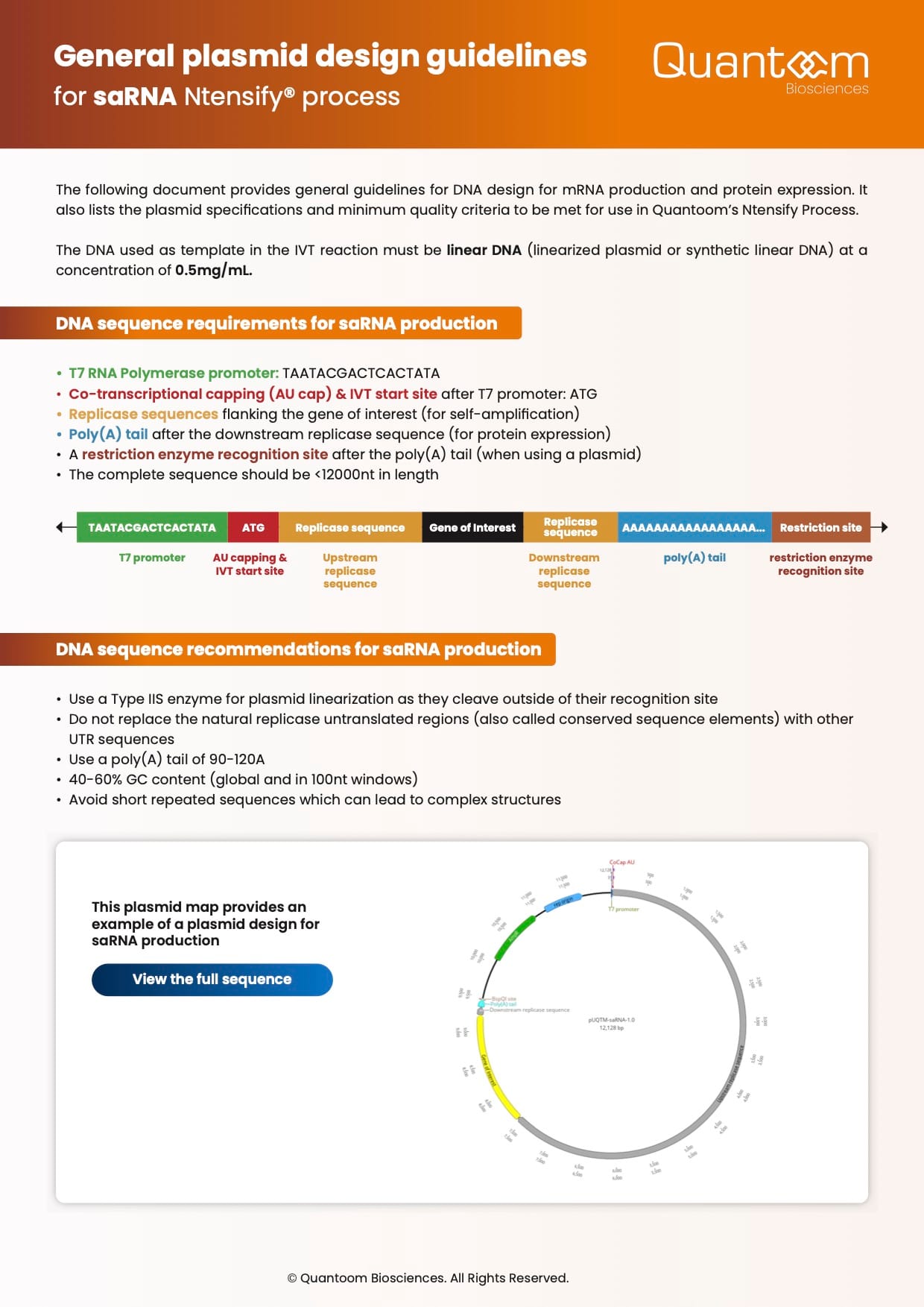 General plasmid design guidelines for saRNA Ntensify process - Thumbnail