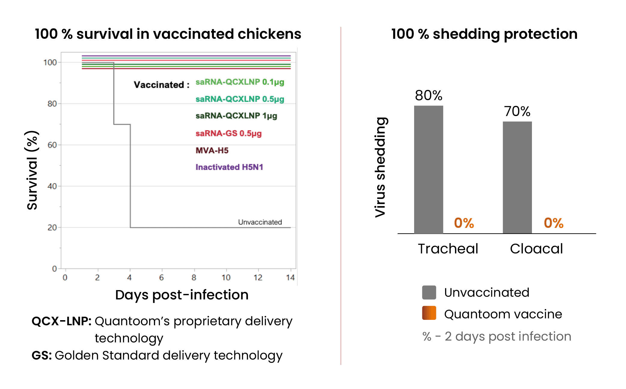 Results VaxThera