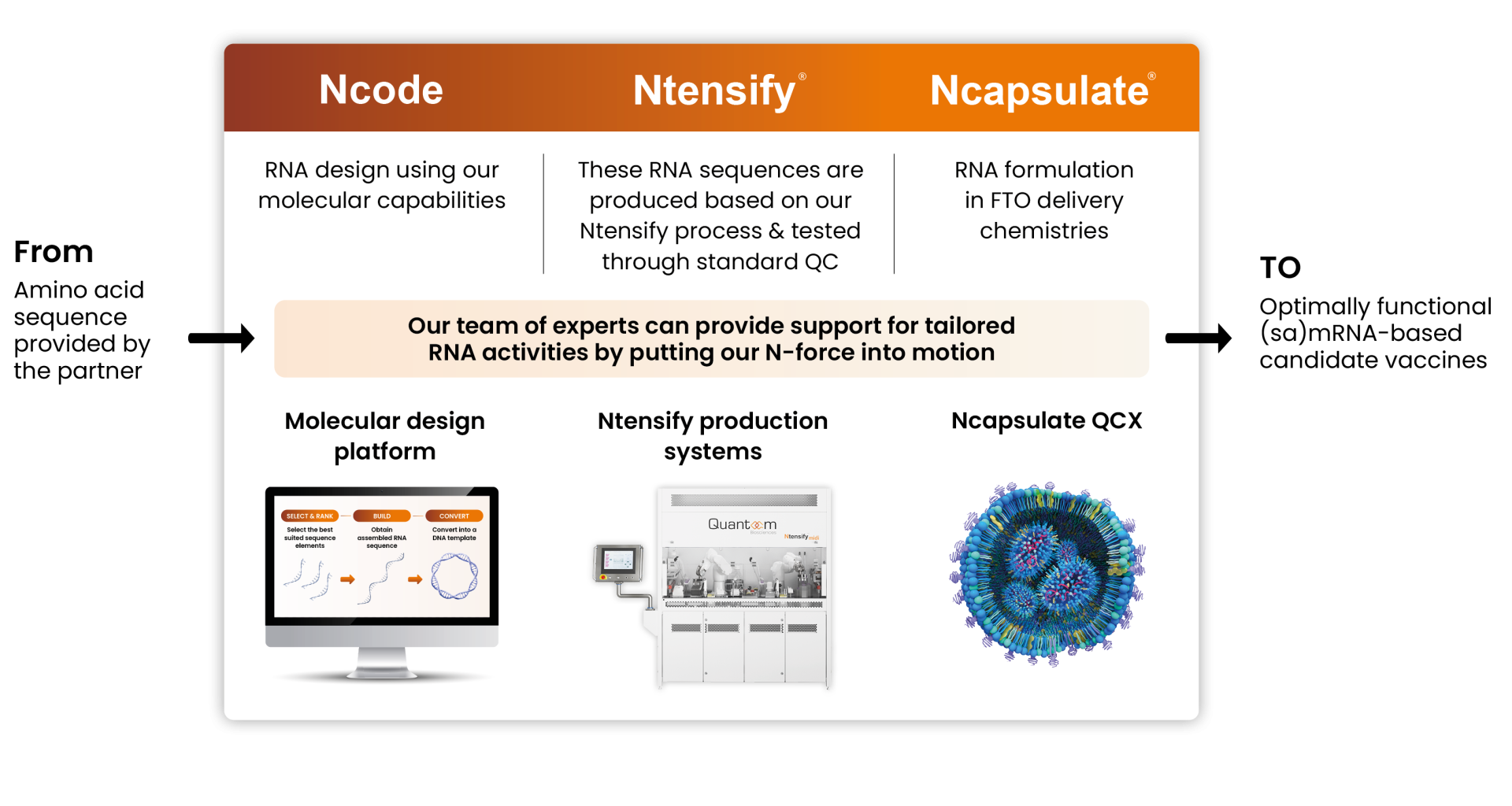 Process R&D partnership - Ncode, Ntensify, Ncapsulate