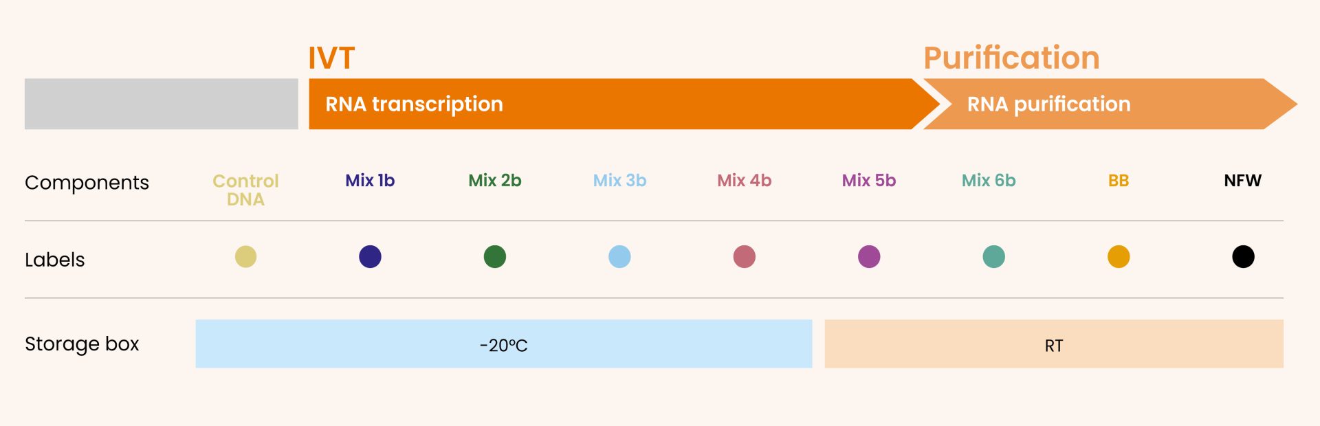 Content of the Ntensify all-in-one saRNA production kit